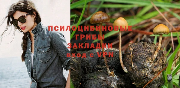 дживик Тында